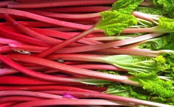 rhubarb